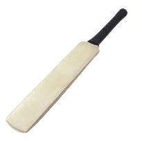 Cricket Bat